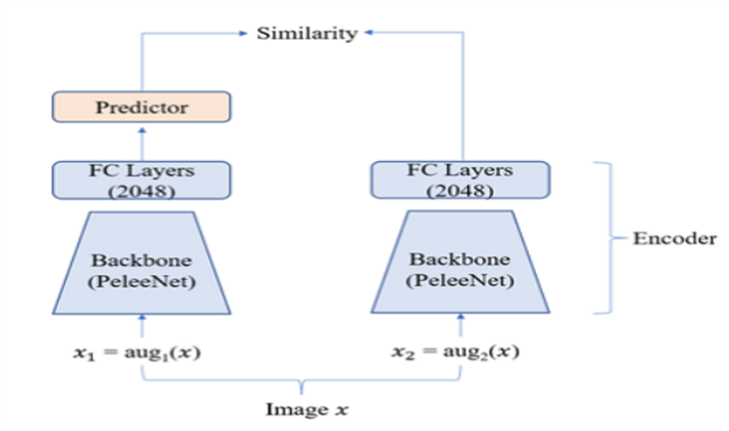Main figure for Simple Siamese Network 기반 Human Pose Estimation을 위한 Backbone Network 비지도 학습 방법론 연구